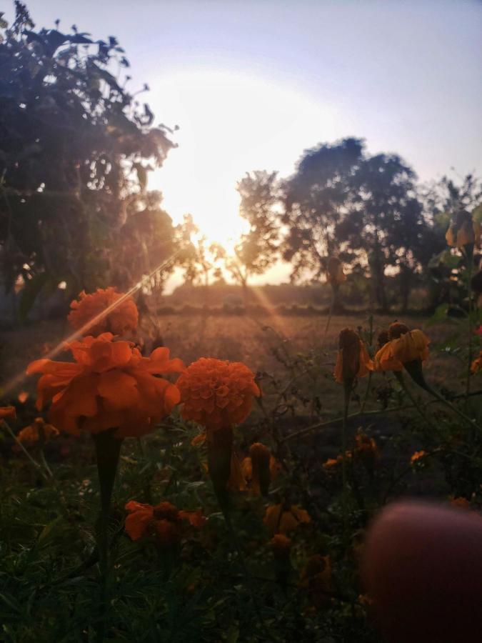 Sun N Soil Backpacker Hostel Lachhiwala Dış mekan fotoğraf