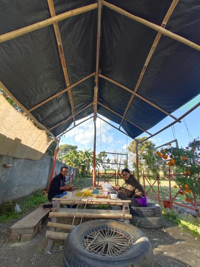 Sun N Soil Backpacker Hostel Lachhiwala Dış mekan fotoğraf
